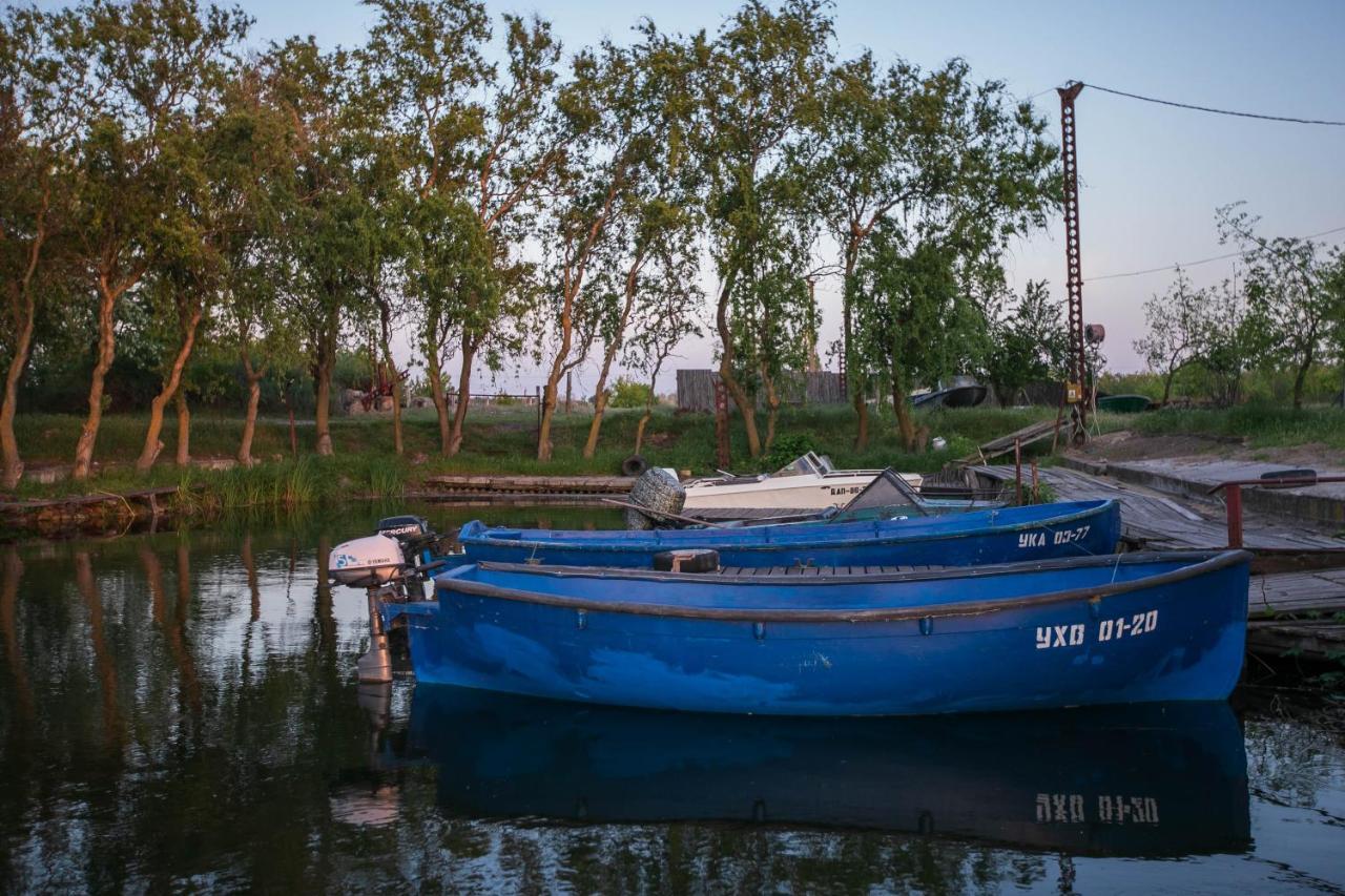 Збурьевский Кут Stara Zbur'yivka Dış mekan fotoğraf