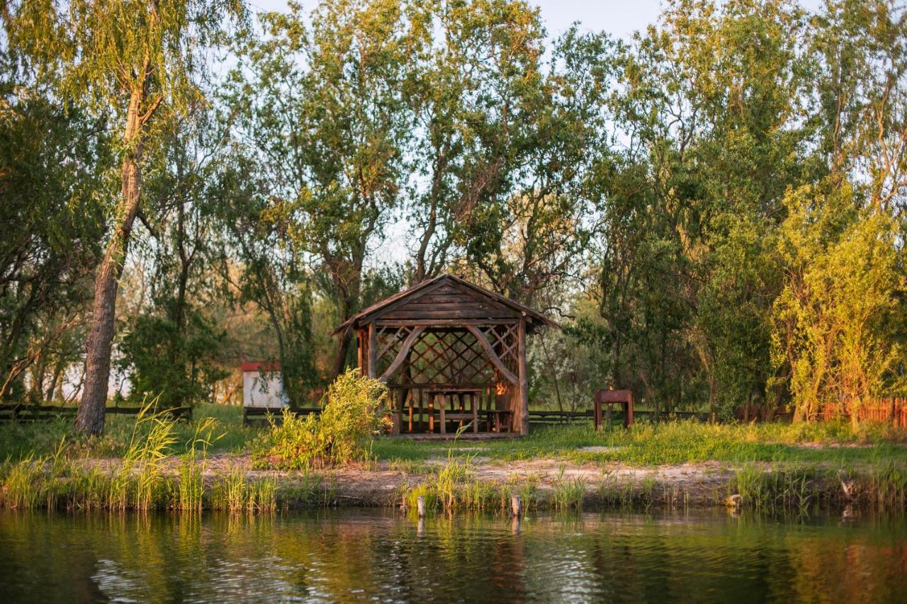 Збурьевский Кут Stara Zbur'yivka Dış mekan fotoğraf