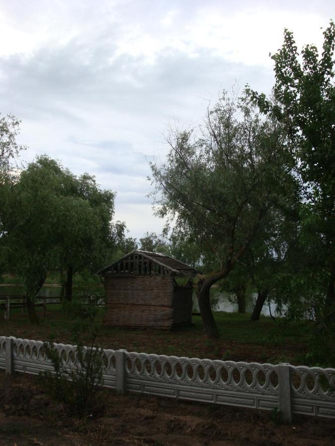 Збурьевский Кут Stara Zbur'yivka Dış mekan fotoğraf